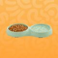 Feeding & Bowls