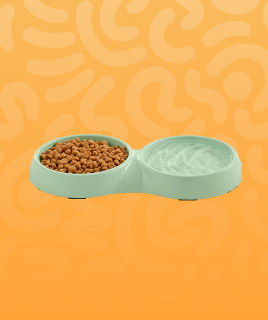 Feeding & Bowls
