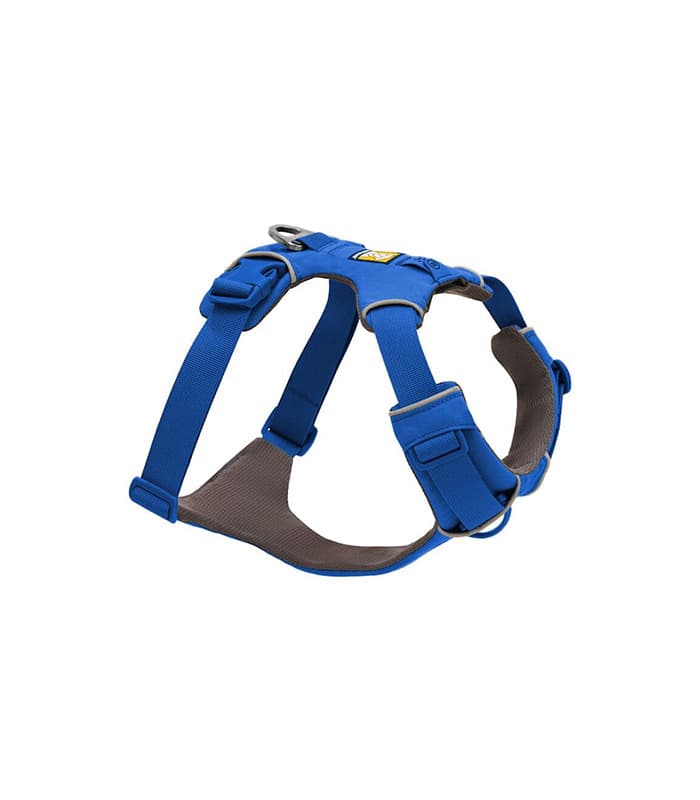 Collars & Leashes