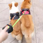 360Â° Retractable Lead Leash Double Tangle Pet Dog Training Lead 3M for 2 Dog UK - Image 4