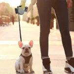 Retractable Dog Lead with Anti-Slip Handle, 3-in-1 Pet Leash with Waste Bag Dispenser, 5M, 16FT Strong Nylon Tape, Up To 20 - Image 5