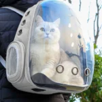 【Breeins】Transparent Capsule Pet Travel Backpack Cats - Image 4