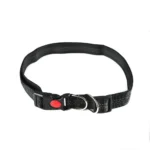 Hands Free Dog Lead with Elastic Shock Absorber for Walking and Running, Adjustable Safety Leash - Image 6