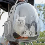 【Breeins】Transparent Capsule Pet Travel Backpack Cats - Image 2