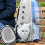 【Breeins】Transparent Capsule Pet Travel Backpack Cats