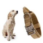Breathable Nylon Dog Collar Outdoor Training Leash Kit Pet Accessories for Medium and Large Breed Dogs - Image 5