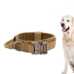 Breathable Nylon Dog Collar Outdoor Training Leash Kit Pet Accessories for Medium and Large Breed Dogs - Image 2