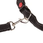 Hands Free Dog Walking Belt Pet Running Lead Waist Belt Jogging Hiking Coupler - Image 6