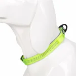 Reflective Padded Dog Collar - Image 6