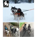 Double Dog Leash Coupler - Image 4