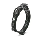 Reflective Padded Dog Collar - Image 8