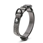 Reflective Padded Dog Collar - Image 7