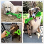 Durable Dog Chew Bone - Image 2