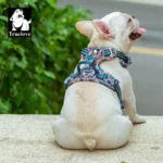 Floral No Pull Dog Harness - Image 5