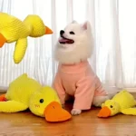 Squeaky Yellow Duck Dog Toy - Image 6
