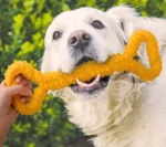 Durable Dog Chew Bone - Image 9