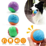 Squeaky Dog Ball Toy