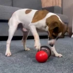 Interactive Treat Ball Dog Toy - Image 6