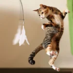 Feather Wand Cat Teaser - Image 6