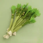 Catnip Dental Chew Toy - Image 4
