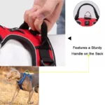 Reflective Padded Dog Harness - Image 4