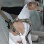Dog Car Seat Belt Clip - Image 3