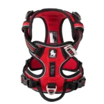 Reflective Padded Dog Harness - Image 12