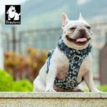 Floral No Pull Dog Harness - Image 6