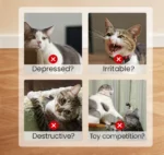 Catnip Fish Chew Toy - Image 6