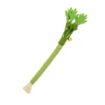 Catnip Dental Chew Toy - Image 6